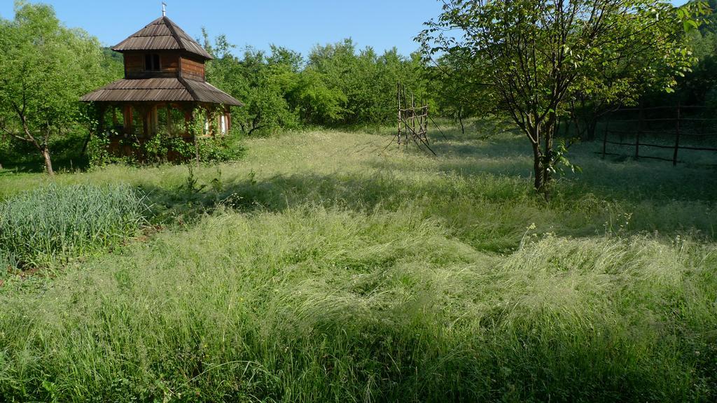 Woodenhouse Maramures Felsővisó Kültér fotó