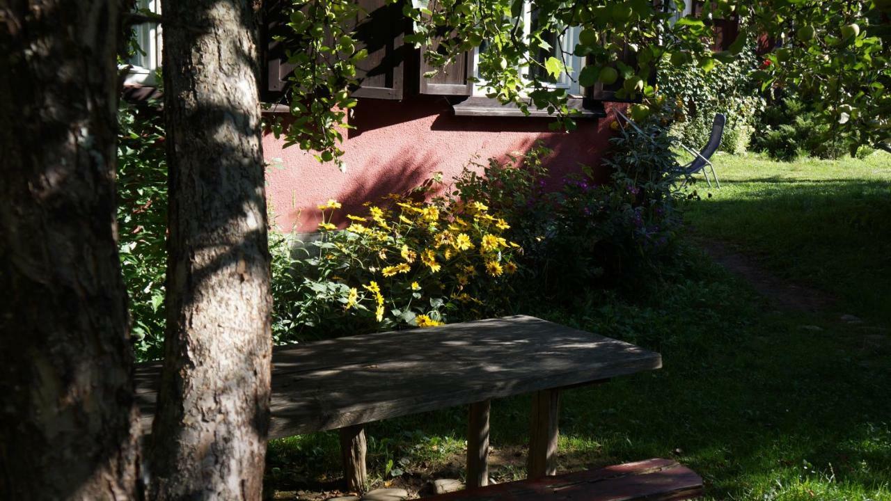 Woodenhouse Maramures Felsővisó Kültér fotó